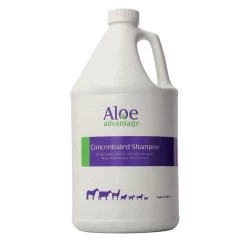 Aloe Advantage Concentrated Shampoo Gallon
