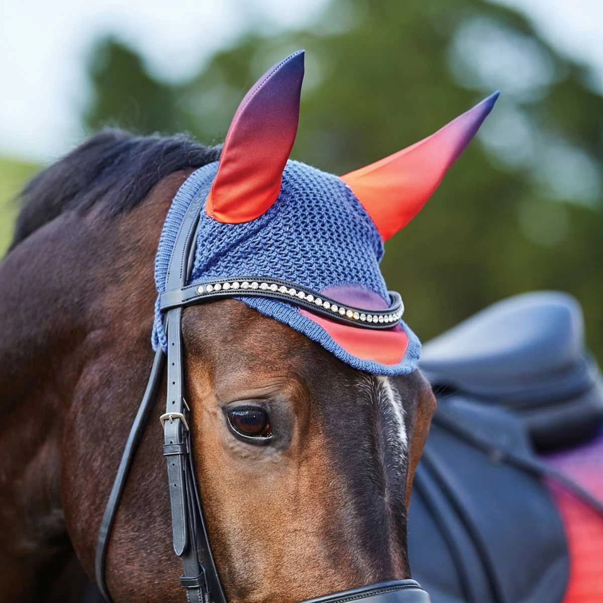 Weatherbeeta Prime Ombre Ear Bonnet - Image 2