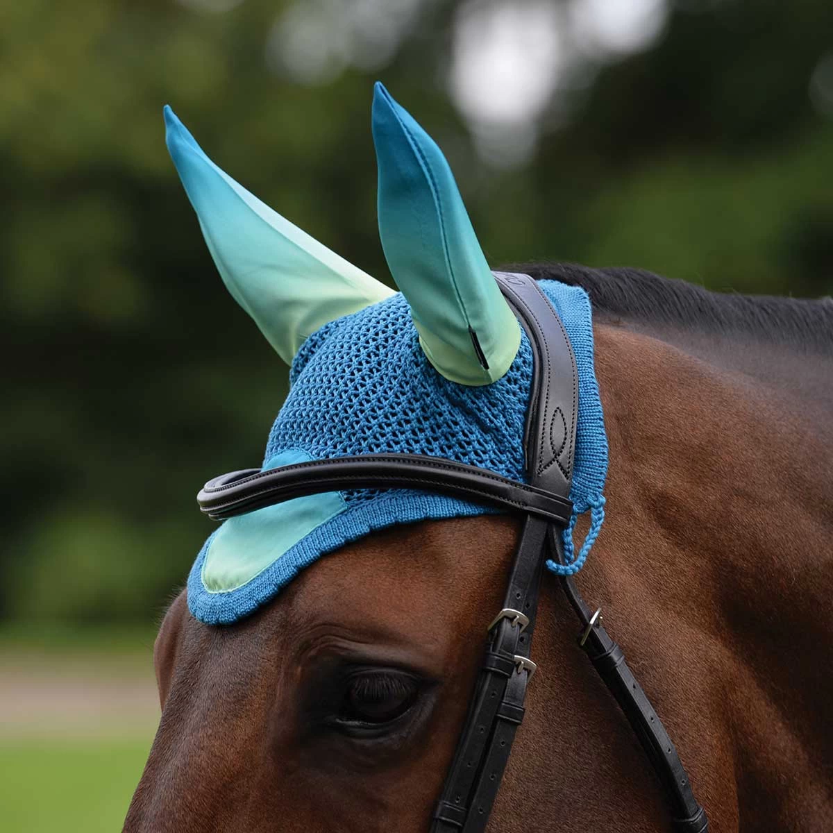 Weatherbeeta Prime Ombre Ear Bonnet - Image 3