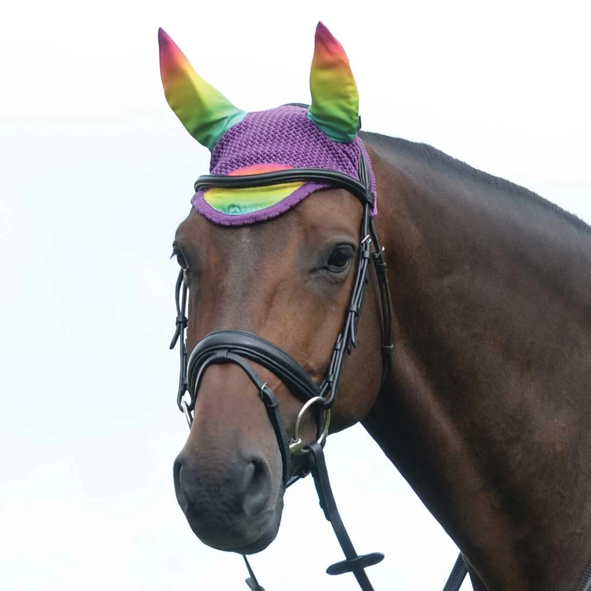 Weatherbeeta Prime Ombre Ear Bonnet - Image 4