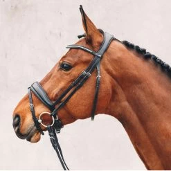 Schockemohle Stanford Anatomic Bridle