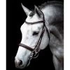 Schockemohle Montreal Select Anatomic Bridle
