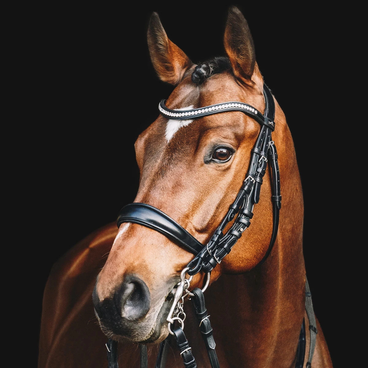 Schockemohle Equitus Gamma Anatomic Dressage Double Bridle - Image 2