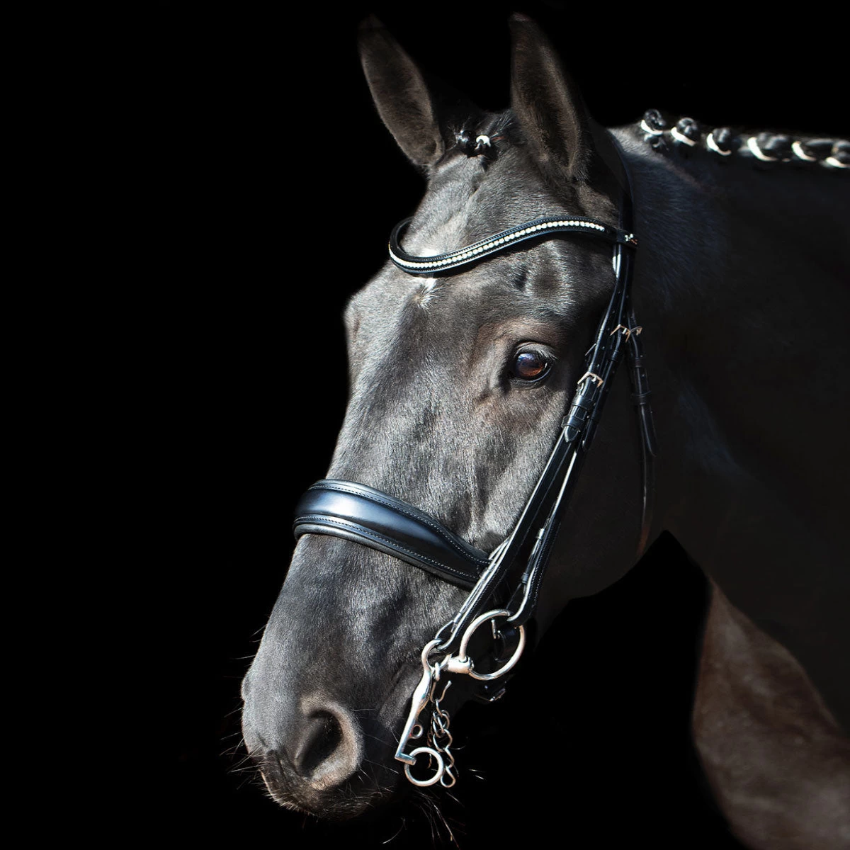 Schockemohle Milan Anatomic Dressage Double Bridle - Image 2