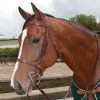 Tory English Bridle Flat Hunt With Plain Reins