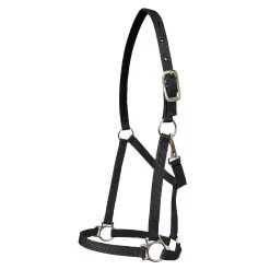 Walsh Nylon Halter .75 Inch