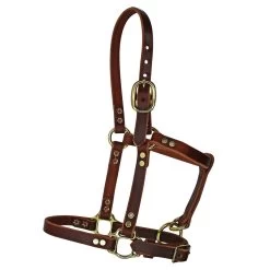 Quiet Creek Riveted Leather Foal Halter