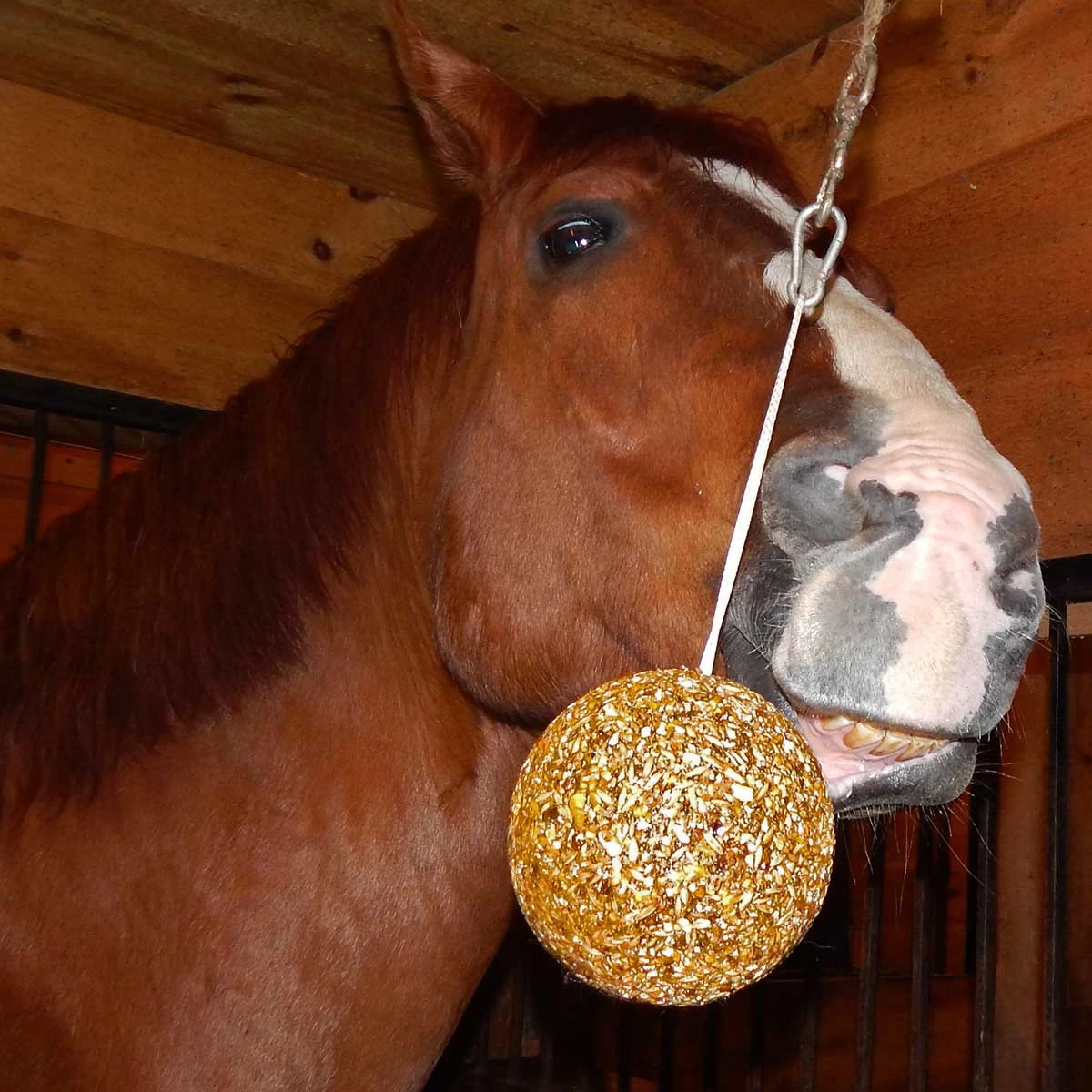 Uncle Jimmys Hangin Ball Horse Treats - Image 2