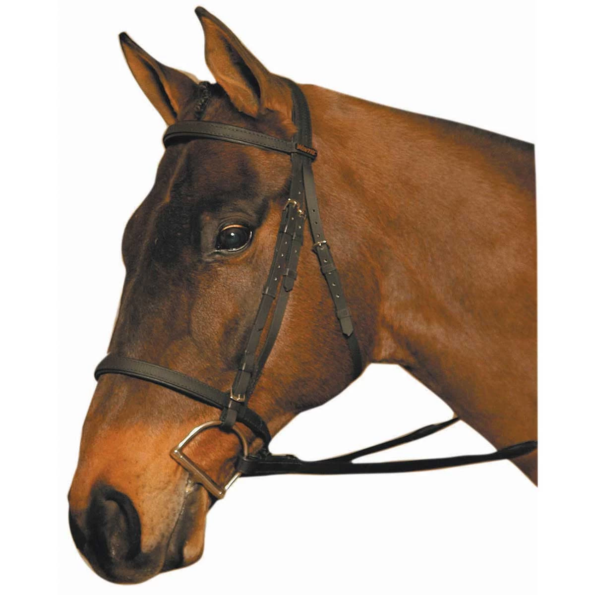 Wintec Synthetic English Bridle Reg Noseband