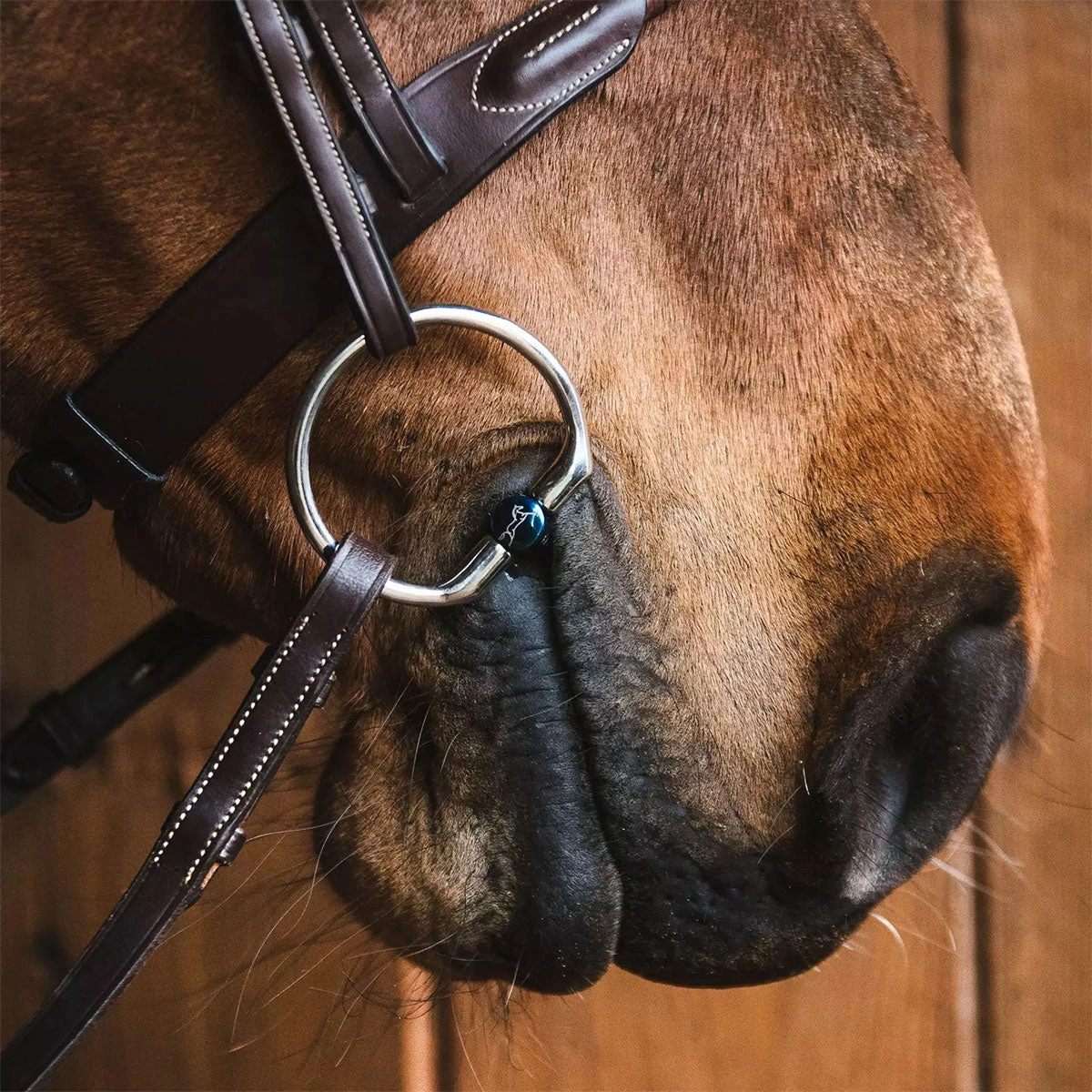 Fager Oscar Titanium Fixed Ring Bit - Test Ride Bit - Image 2