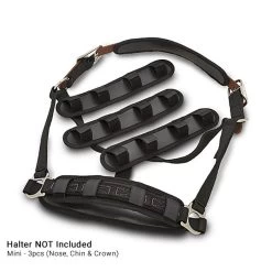 Flexible Filly Halter Liners