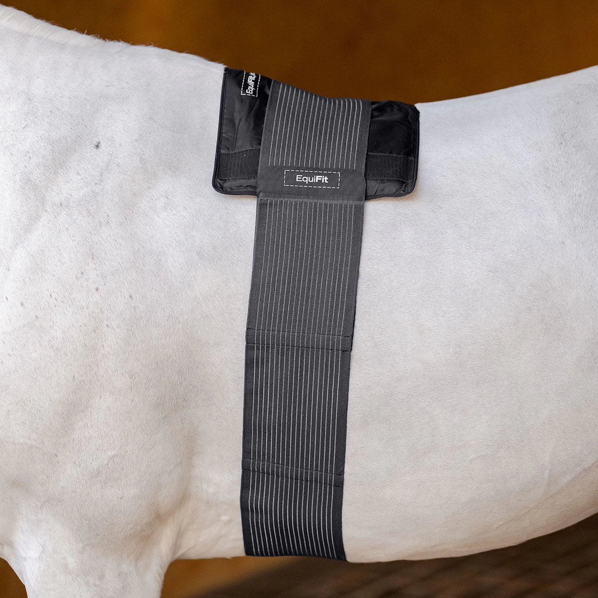 EquiFit GelCompression BackPack