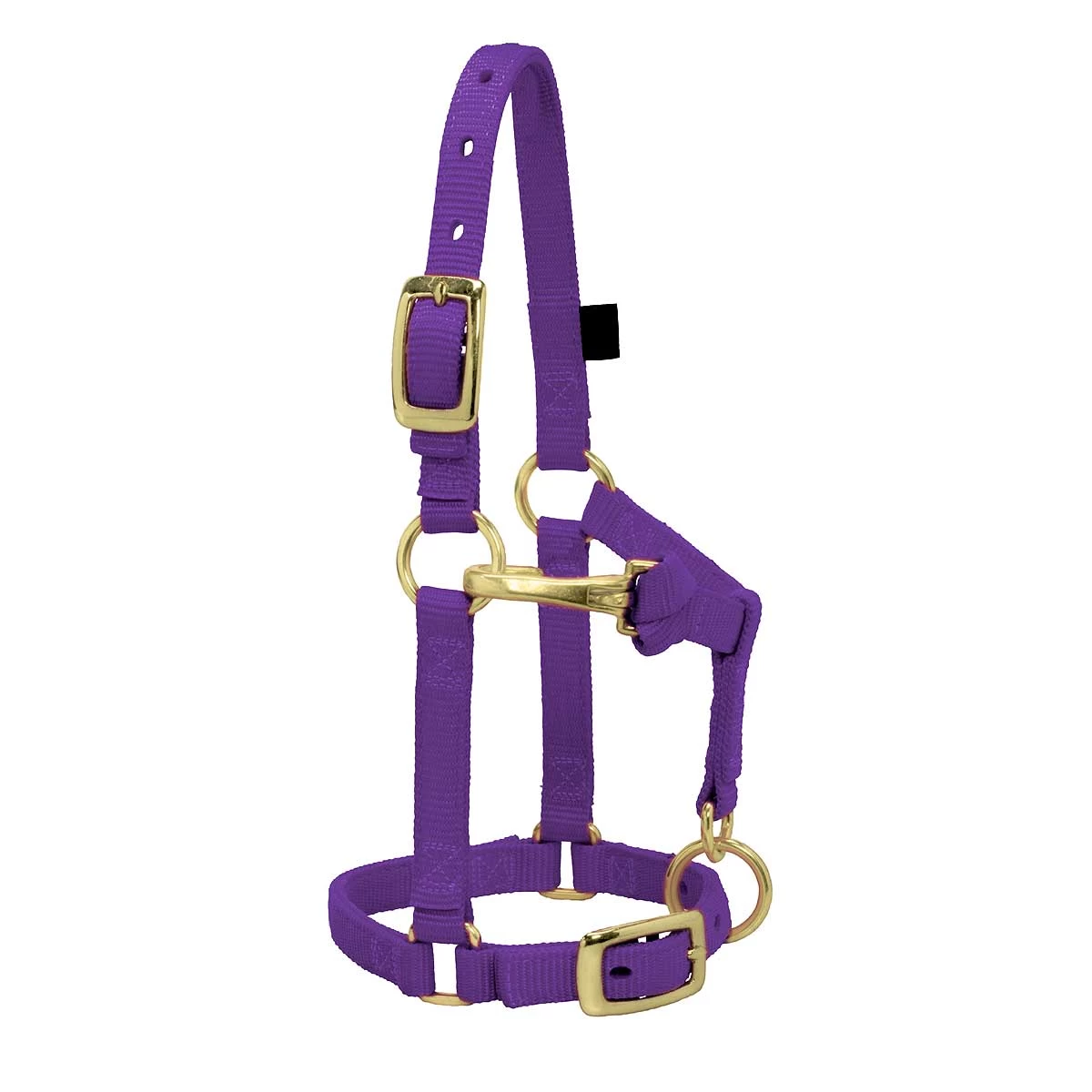 Weaver Leather Weaver Miniature Horse Adjustable Nylon Halter Large - Image 6