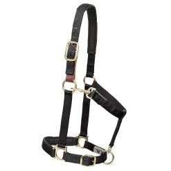 Weaver Leather Weaver Breakaway Padded Nylon Halter
