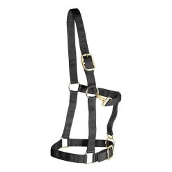 Weaver Leather Weaver Draft Horse Halter Nylon - Large Draft