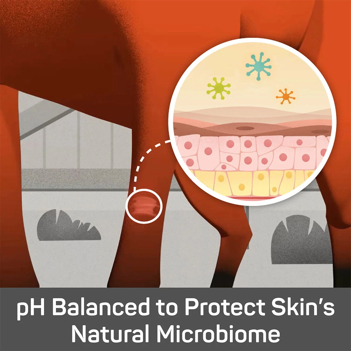 Absorbine Silver Honey Rapid Skin Relief Medicated Shampoo 16 Oz - Image 2