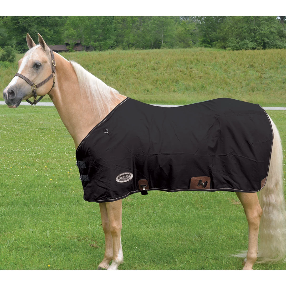 Country Pride 420D Nylon Sheet Open Front - Image 2