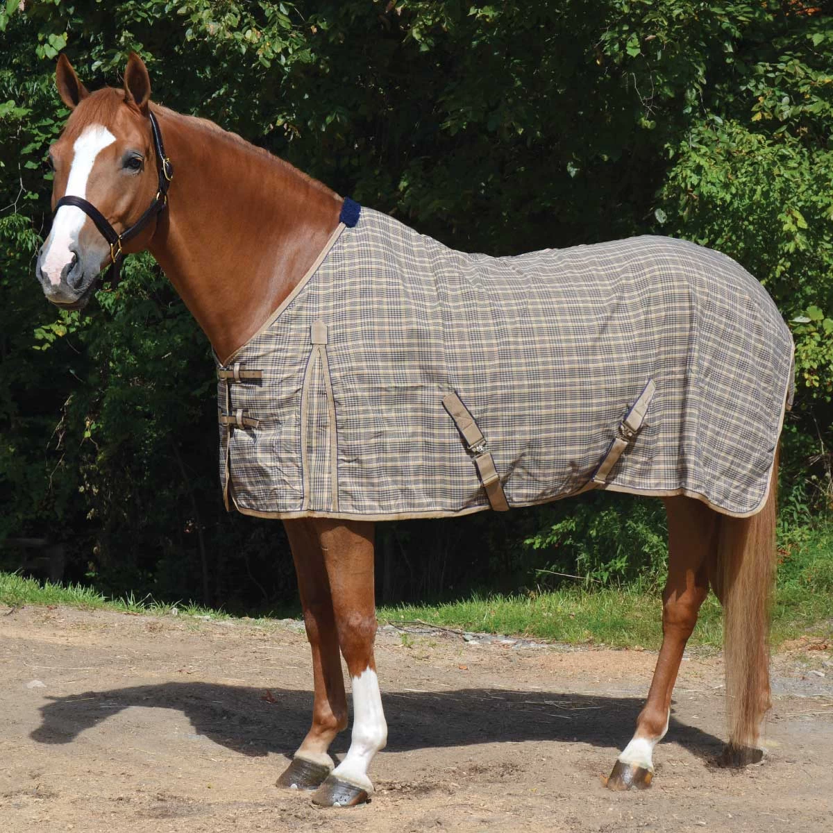 Classic Traditional Plaid Stable Sheet