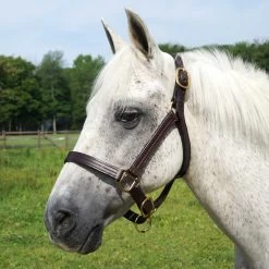 Quiet Creek Thoroughbred Style Triple Stitched Leather Halter