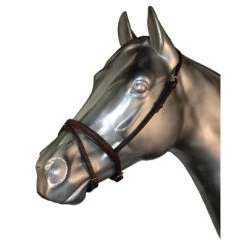 Quiet Creek Caveson With A Flash Attachment