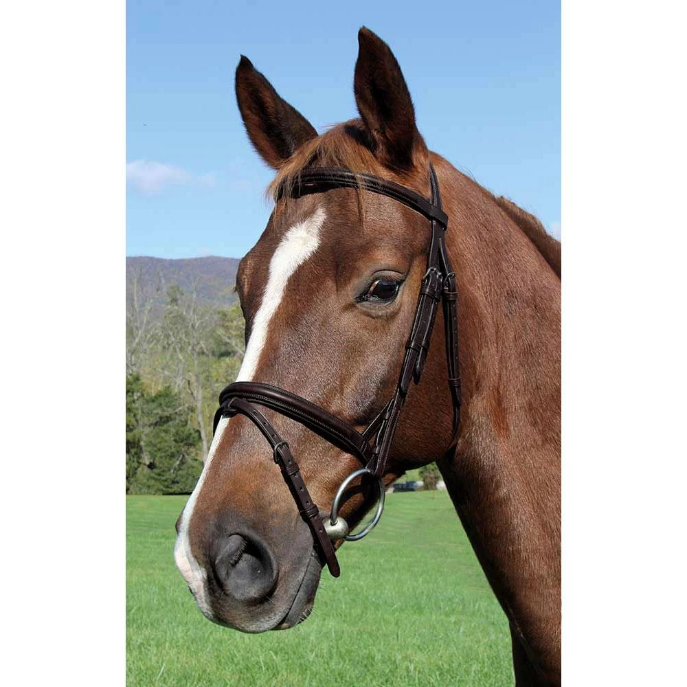 Vespucci Plain Raised English Bridle Brown - Image 2
