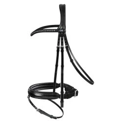 Passier Fortuna Dressage Bridle Horse Size
