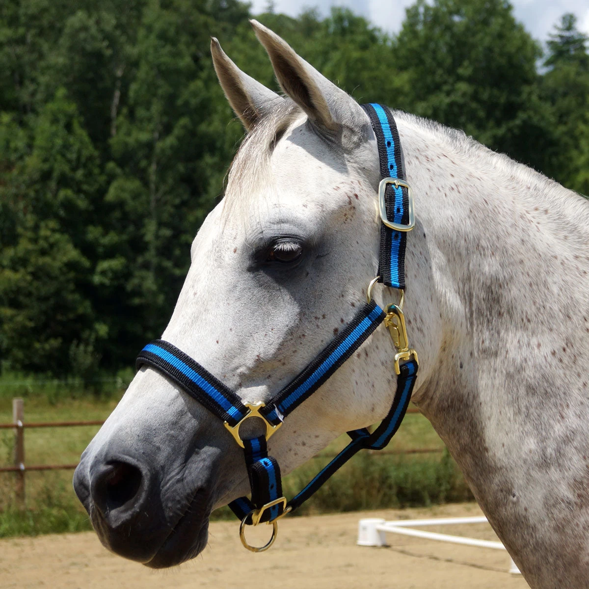 Country Pride Padded Two Tone Nylon Halter - Image 3