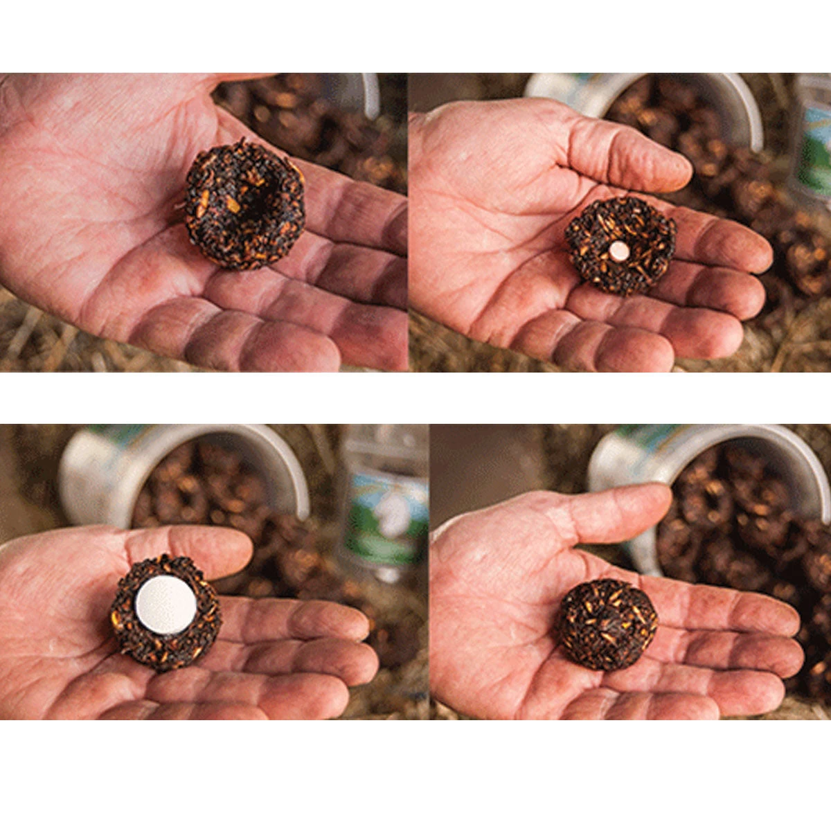 Dimples Horse Treat 3 Lb - Image 2