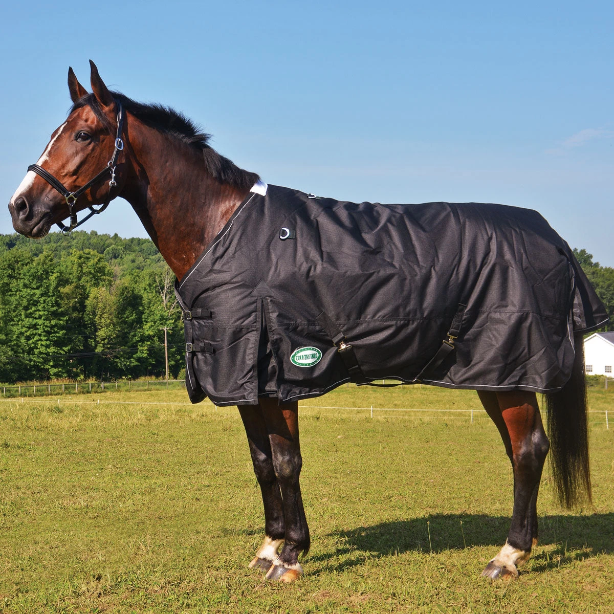 Storm Pro 1200D Midweight Turnout Blanket