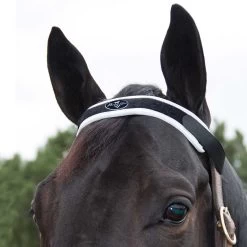 Professionals Choice Magnetic Brow Piece