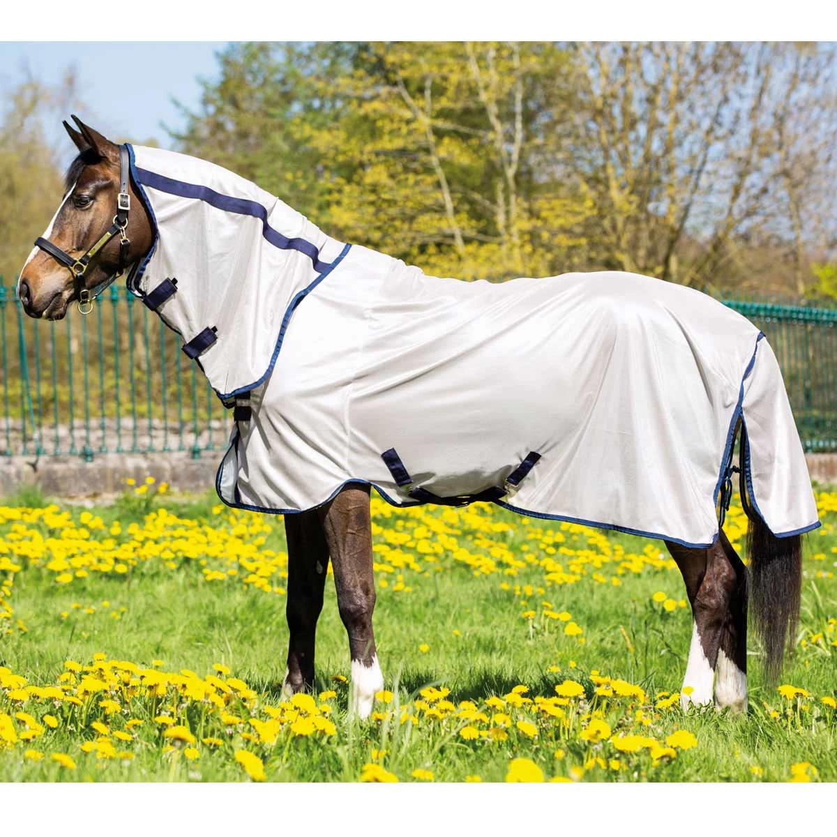 Horseware Ireland Horseware Amigo Mio Fly Sheet - Image 2
