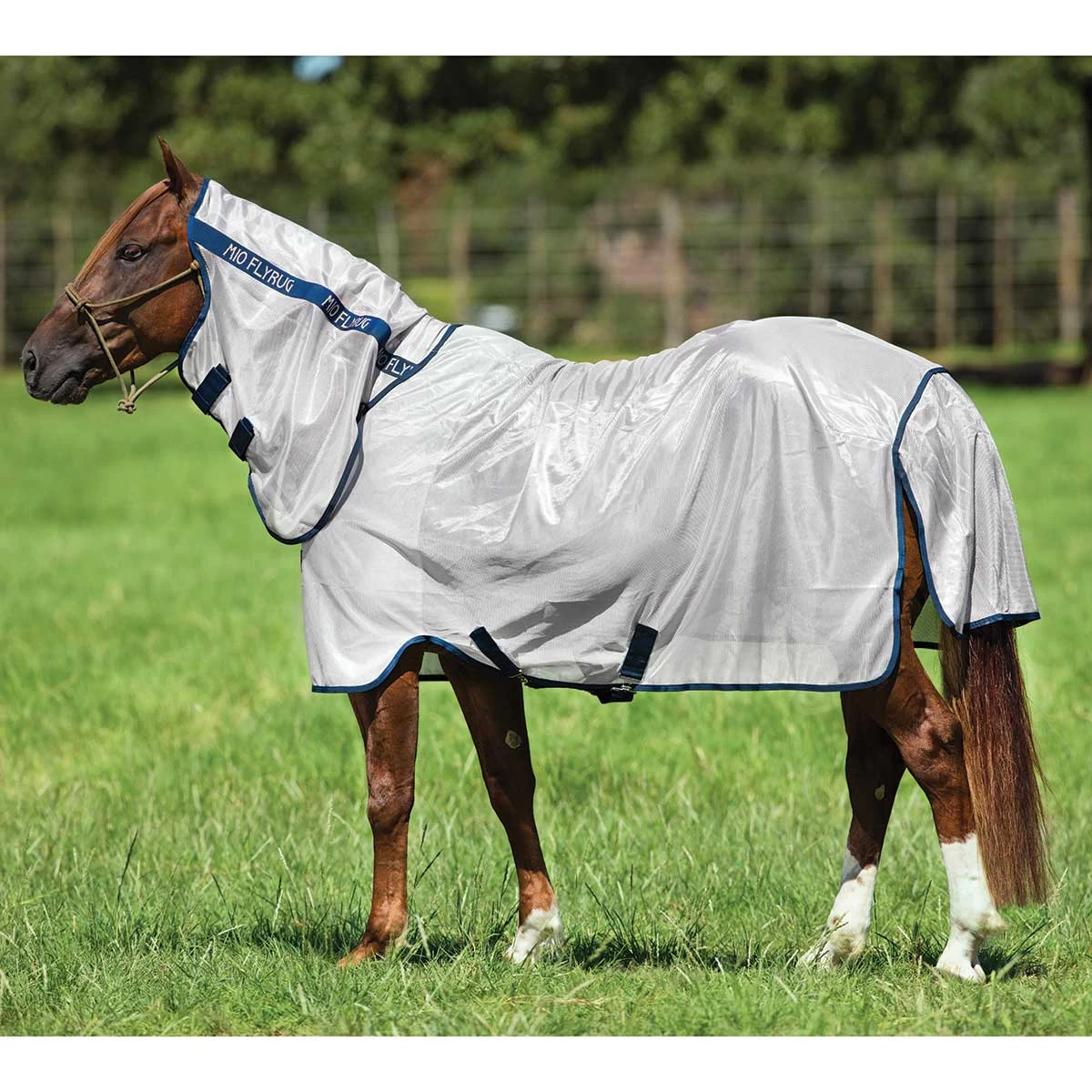Horseware Ireland Horseware Amigo Mio Fly Sheet - Image 3
