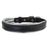 Perris Metallic Padded Leather Dog Collar
