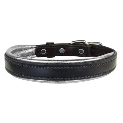 Perris Metallic Padded Leather Dog Collar