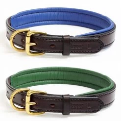 Perris Padded Leather Dog Collar