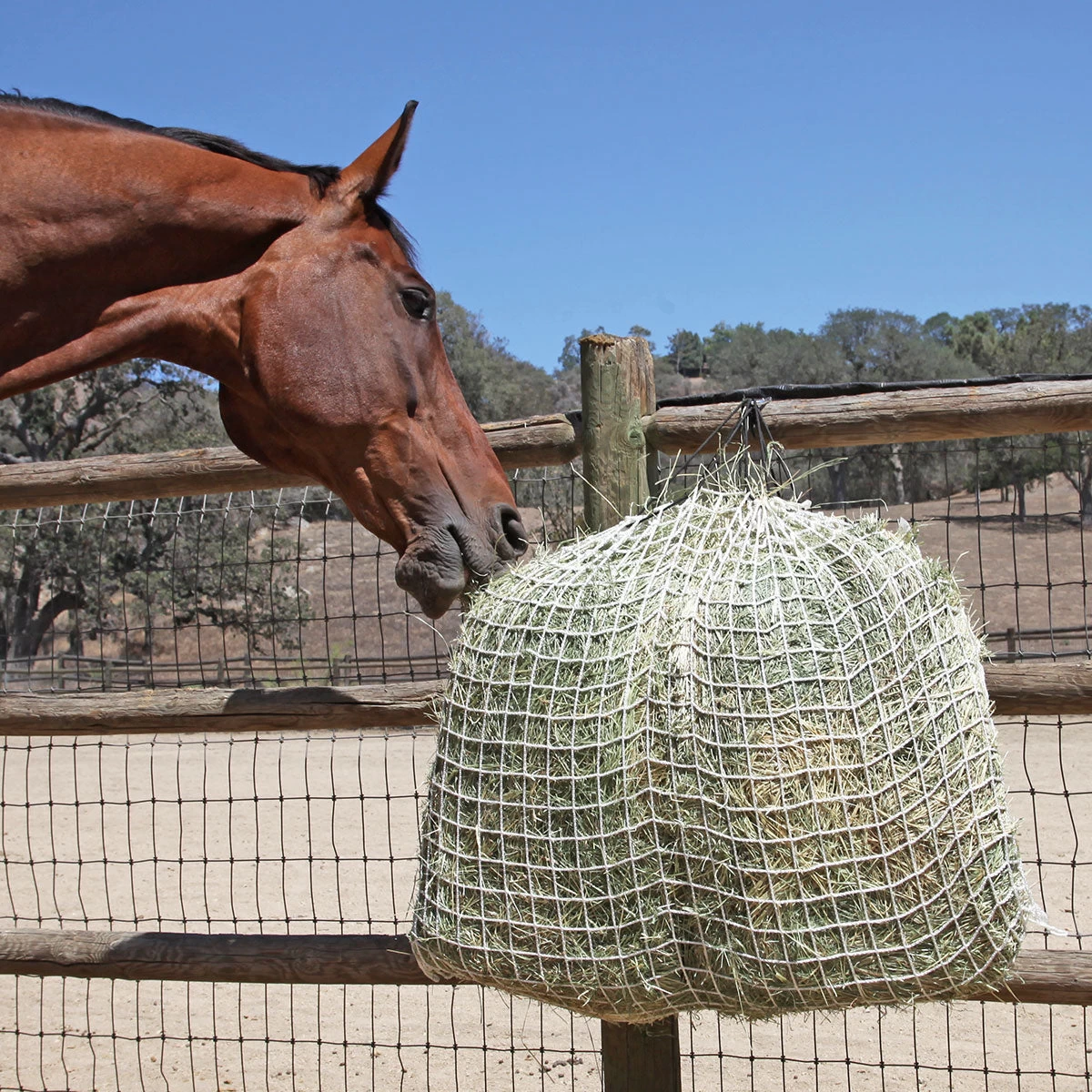 Kensington Freedom Feeder 4 Flake Day Hay Net - 2 Inch Netting