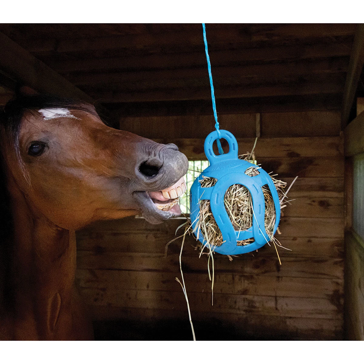 Horsemens Pride Jolly Hay Ball Toy - 8 In - Image 2