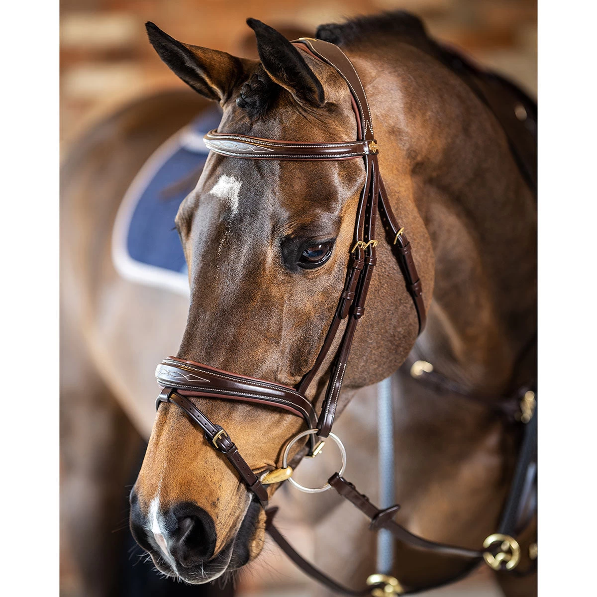 LeMieux Competition Flash Bridle - Image 2