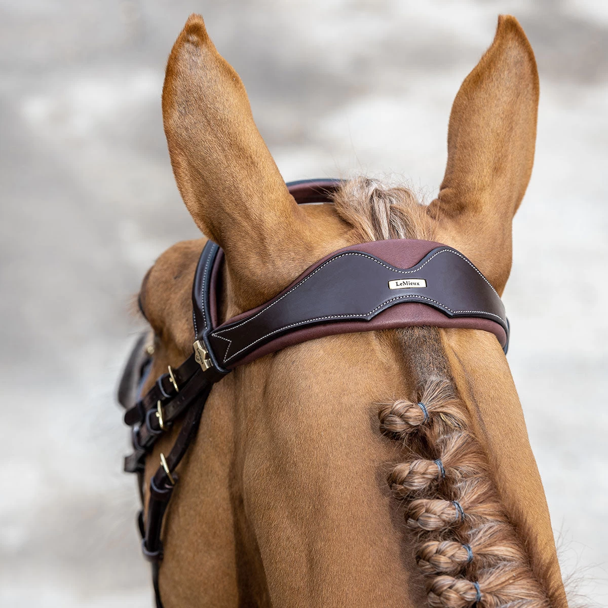 LeMieux Competition Flash Bridle - Image 4