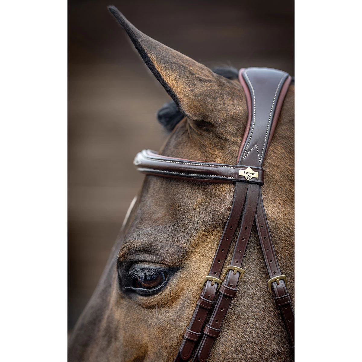 LeMieux Competition Flash Bridle - Image 3