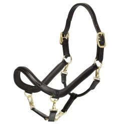 LeMeux Leather Grooming Halter