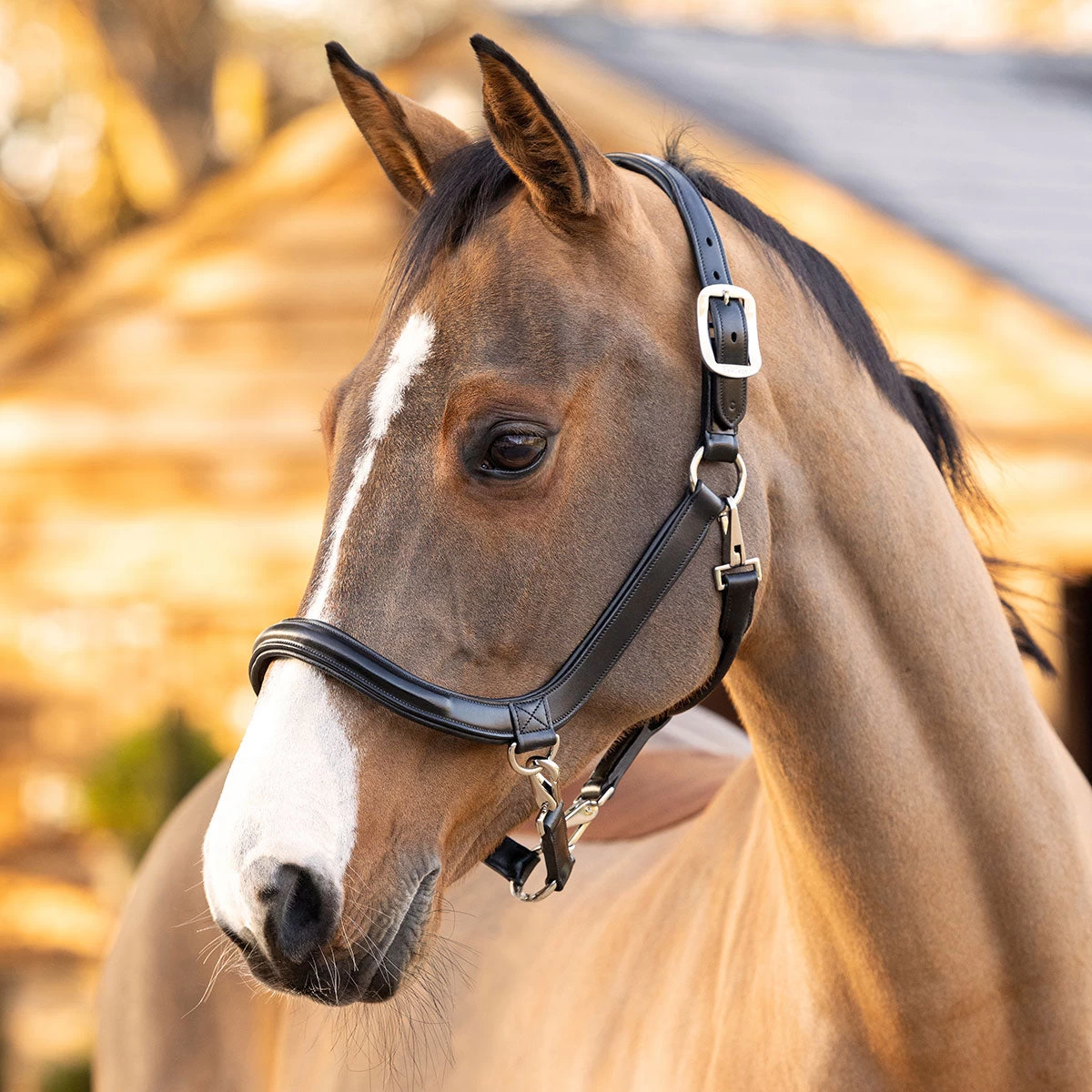 LeMeux Leather Grooming Halter - Image 2
