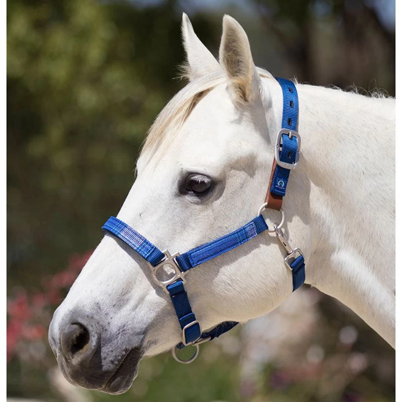 Kensington Breakaway Halter With Padded Nose - Image 3