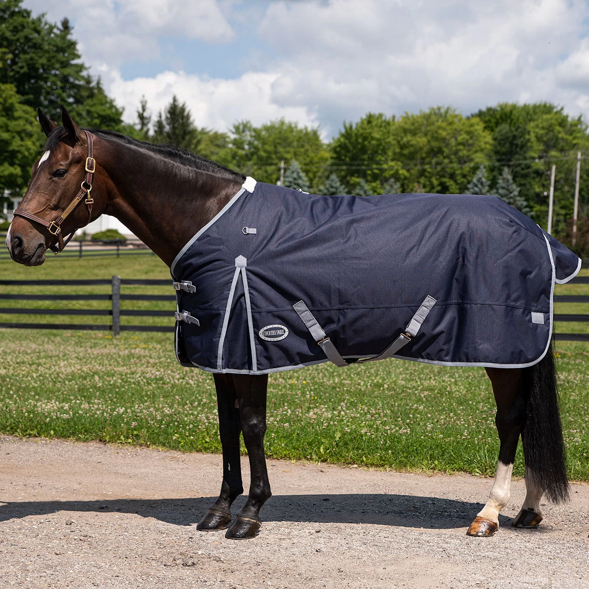 Country Pride Calgary Turnout Sheet - Image 2