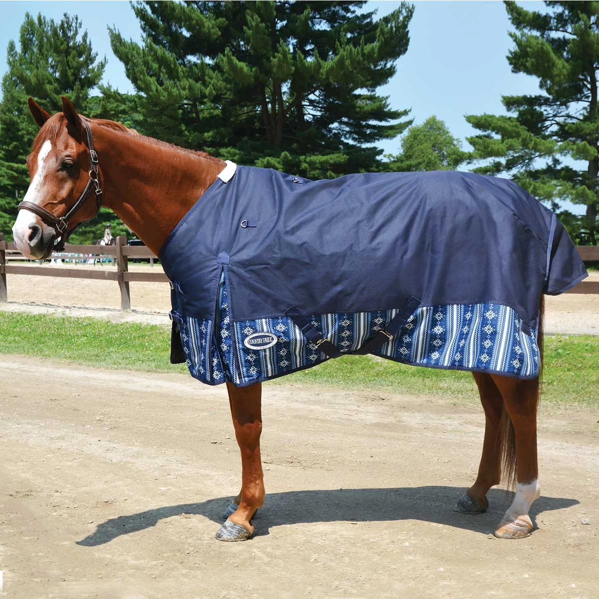 Country Pride Glacier Heavyweight Turnout Blanket - Image 3