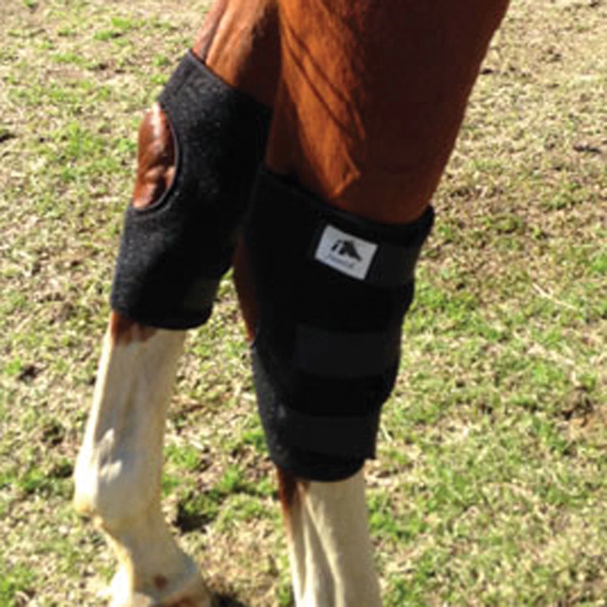 Fenwick Liquid Titanium Therapeutic Hock Boot - Pair - Image 2