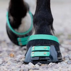 Scoot Boot Front Strap Pack